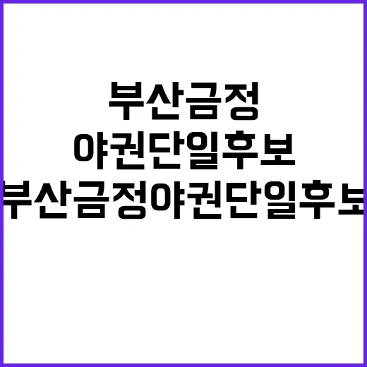 부산 금정 야권 단…