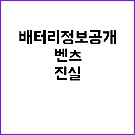 벤츠코리아 대표 국감서의 진실과 배터리 정보 공개.