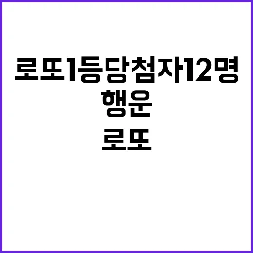 로또 1등 당첨자 …