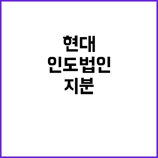 현대차 IPO 인도…