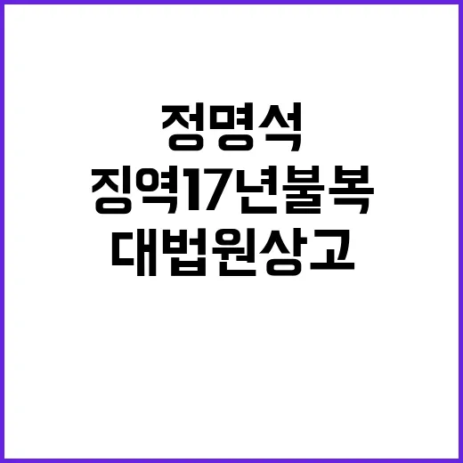 징역 17년 불복 …