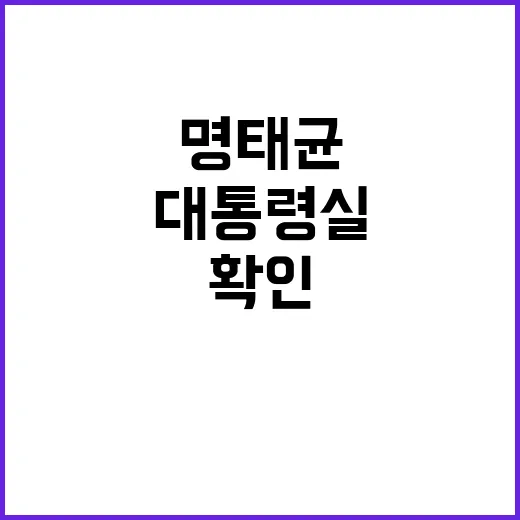 대통령실 명태균 연…