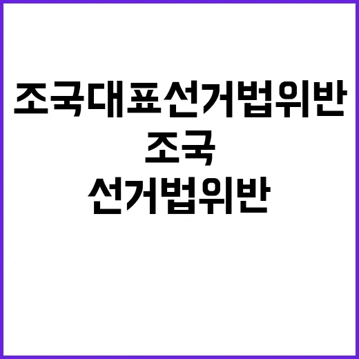 무혐의 조국 대표 …