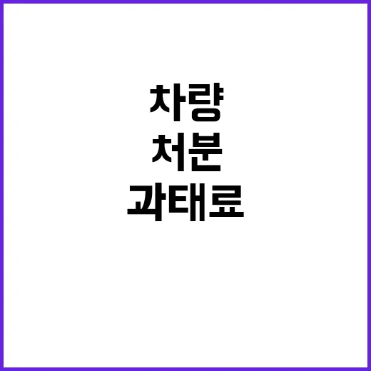 과태료 처분 문 부…