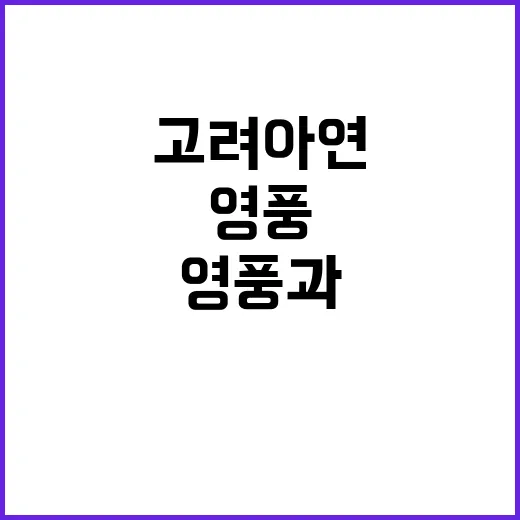 영풍과 고려아연 지…