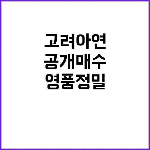 MBK 고려아연·영…