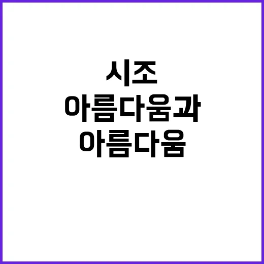 시조 아름다움과 마…