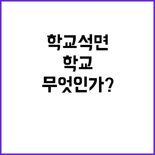 학교 석면 정부의 진짜 대응은 무엇인가?