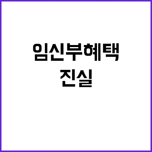 임신부 혜택 산모수…