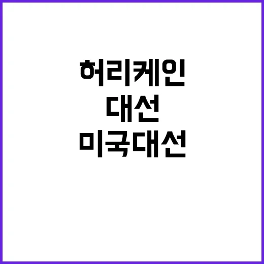 허리케인 밀턴 미국…