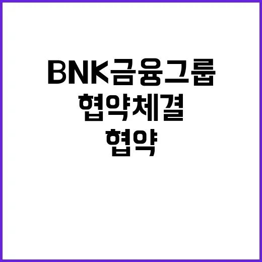 BNK금융그룹 카자…