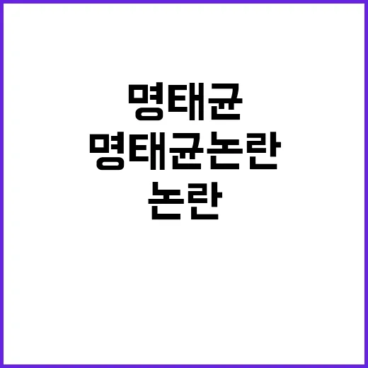 명태균 논란 여당 …