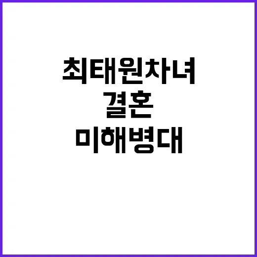 최태원 차녀 결혼 …