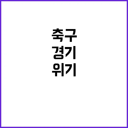 축구 중동 경기 감…