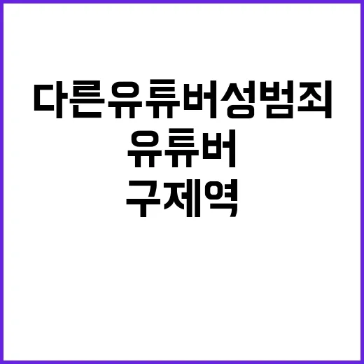 구제역 또 다른 유튜버 성범죄로 벌금형!