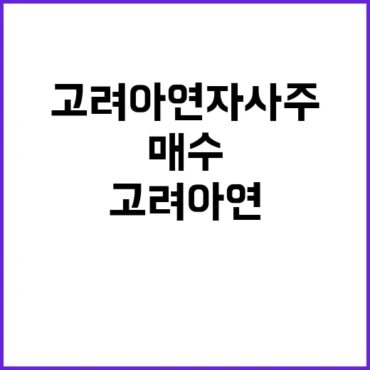 고려아연 자사주 매…