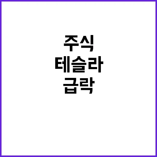 테슬라 로보택시 발…