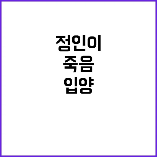 정인이 죽음 입양 …