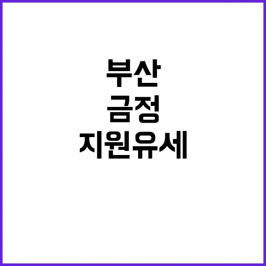 부산 금정 지원 유…