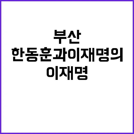 부산 정치 열기 한…