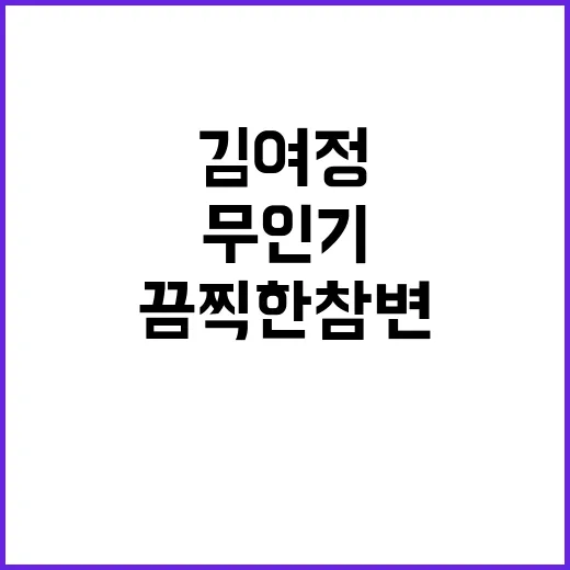 김여정 무인기 침범…