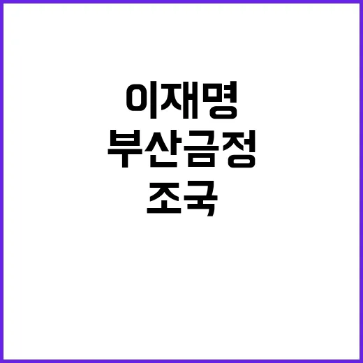 이재명 조국 전화 …