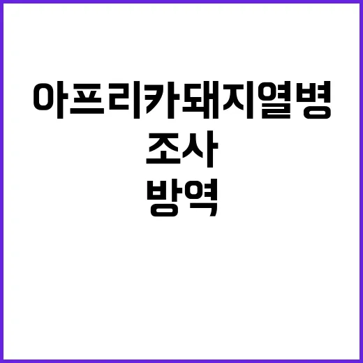 아프리카돼지열병 철저한 방역과 조사 필수!