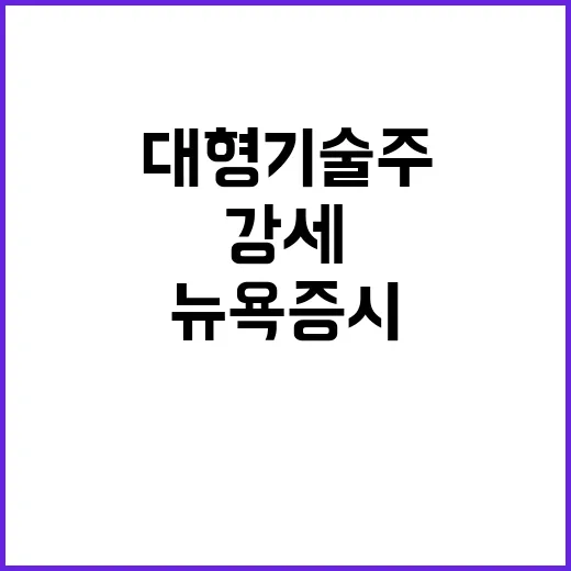 뉴욕증시 강세 대형…