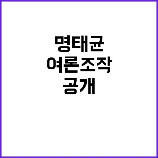 명태균 여론조작 의…