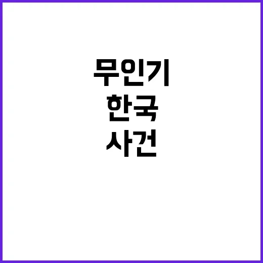 무인기 사건 한국 …