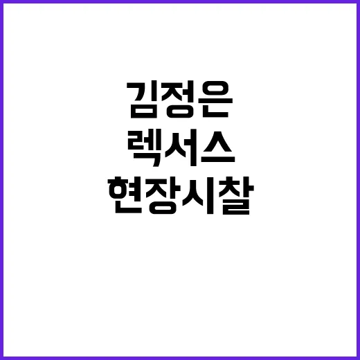 폭파 김정은 렉서스…