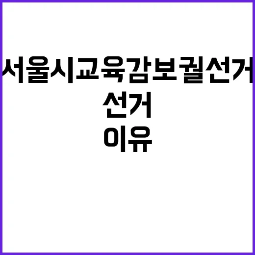 서울시 교육감 보궐…