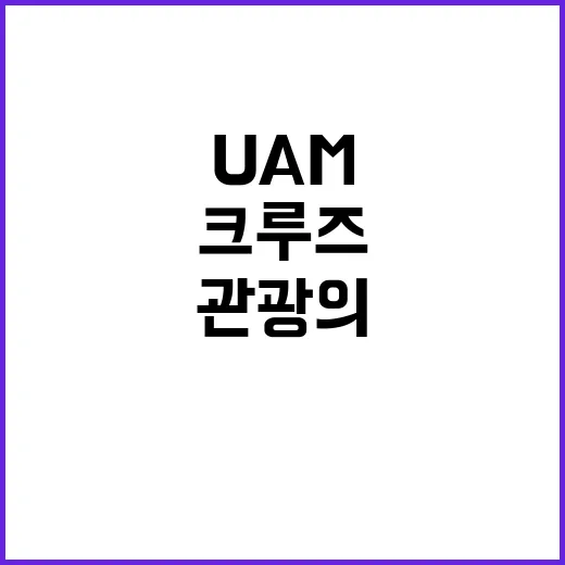 UAM과 크루즈 제…