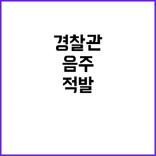 경찰관 촉 음주운전…