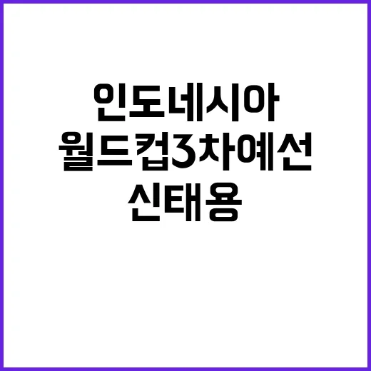 신태용 인도네시아 …