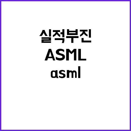 ASML 실적 부진 엔비디아 5% 이상 폭락 이유!