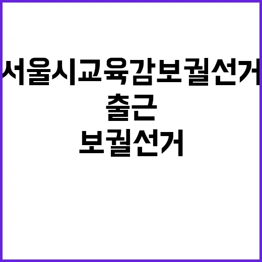 서울시교육감 보궐선…