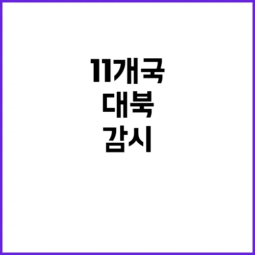 대북 감시 11개국…