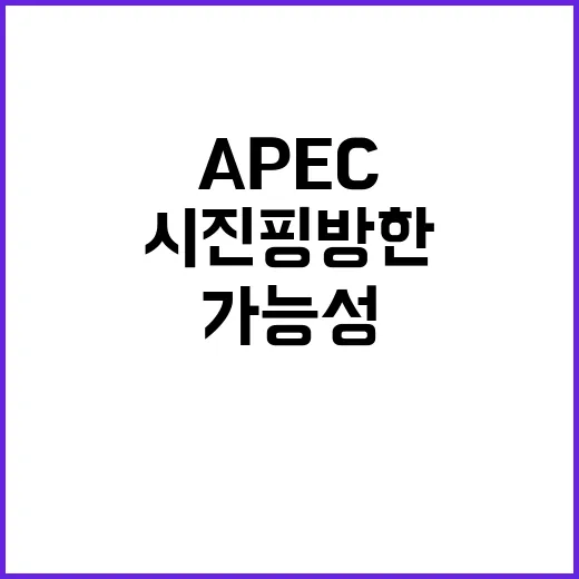 APEC 시진핑 방…