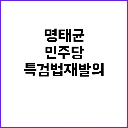 명태균 의혹 민주당 특검법 재발의로 해결할까?