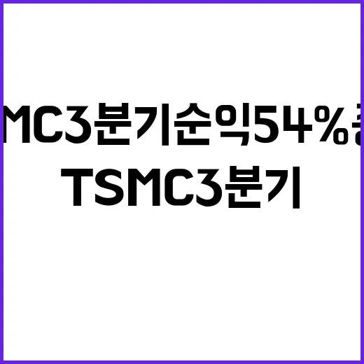 AI 칩 TSMC …