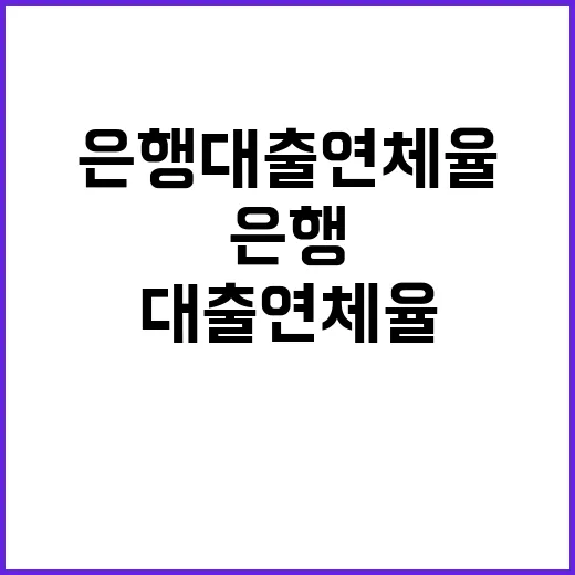 은행 대출 연체율 …