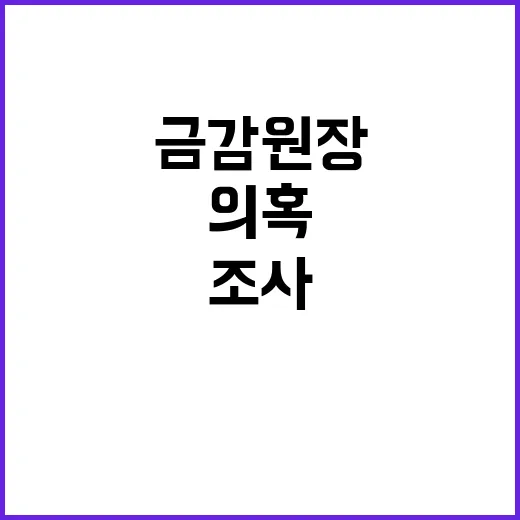 삼부토건 의혹 금감…