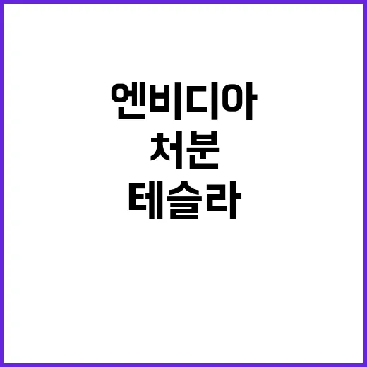 엔비디아 테슬라 처…