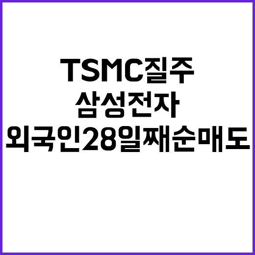 TSMC 질주 삼성전자 외국인 28일째 순매도!