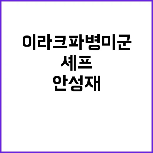 안성재 이라크 파병…