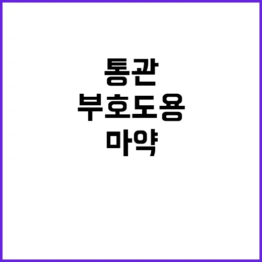 통관부호 도용 마약…