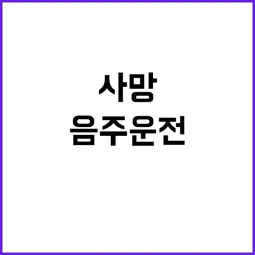 ‘음주운전’ 사망 …