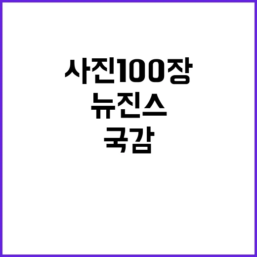 사진 100장 공개…