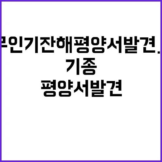 무인기 잔해 평양서 발견…한국군 기종 의심!